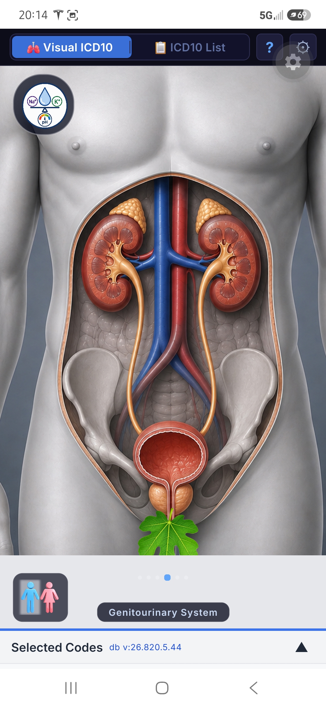 Visual ICD10 screenshot 1